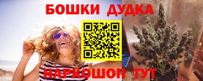 МДПВ Будённовск
